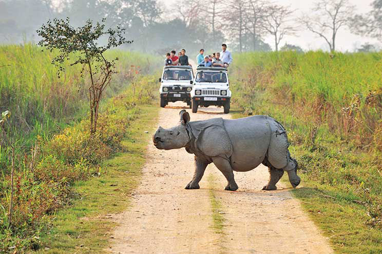 Kaziranga Platinum Wildlife Tour